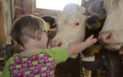 Care for a Special Needs Child