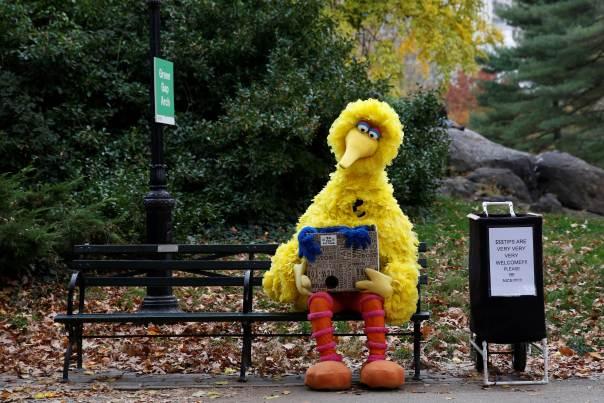 Photo of Big Bird sitting on a park bench