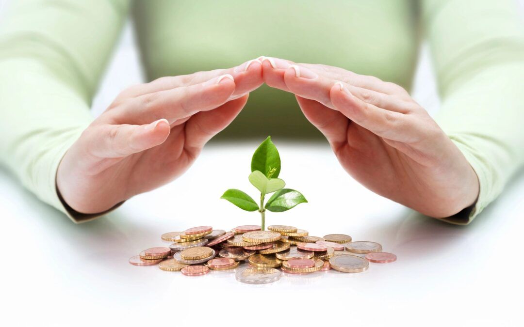 hands over a plant growing in pile of coins